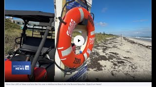 American Lifeguard Applauds Breakthrough: Zero Beach Drownings in 2025 Thanks to Drown Zero Program