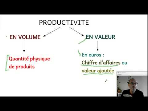 Vidéo: Comment Calculer La Productivité Du Travail