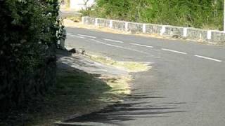 MVI_1414.AVI