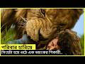 খালি হাতেই সিংহের সাথে লড়াই করে লোকটা ..... । movie explain Bangla ।