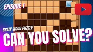Brain Wood Puzzle | Easy 1 screenshot 1