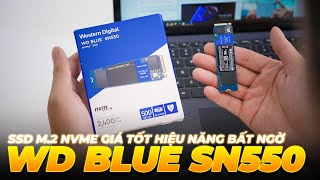 Tổng hợp 20+ western digital sn550 review tốt nhất