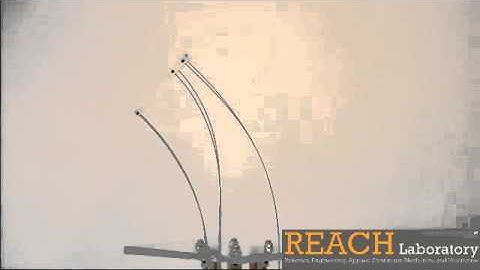 Parallel Continuum Manipulator Demo