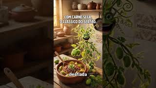 MAXIXE PARTE 2: 96% Água, Veio da África e Tem um Prato Clássico que Você Não Conhece. #maxixe