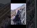 #btsarmy #new #shortvideo #trending #viralvideo #kimtaehyung #bollywood #bts #actionedits #army