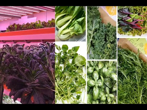 Webinar Vertical Farming 16 december 2020