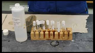 Kforchemreaction lab 13 video