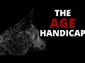 The age handicap i david j schwartz