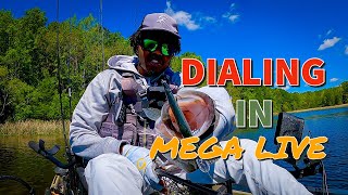 Dialing Mega Live with The Jerk Bait | Santee Cooper Spring Bass Fishing