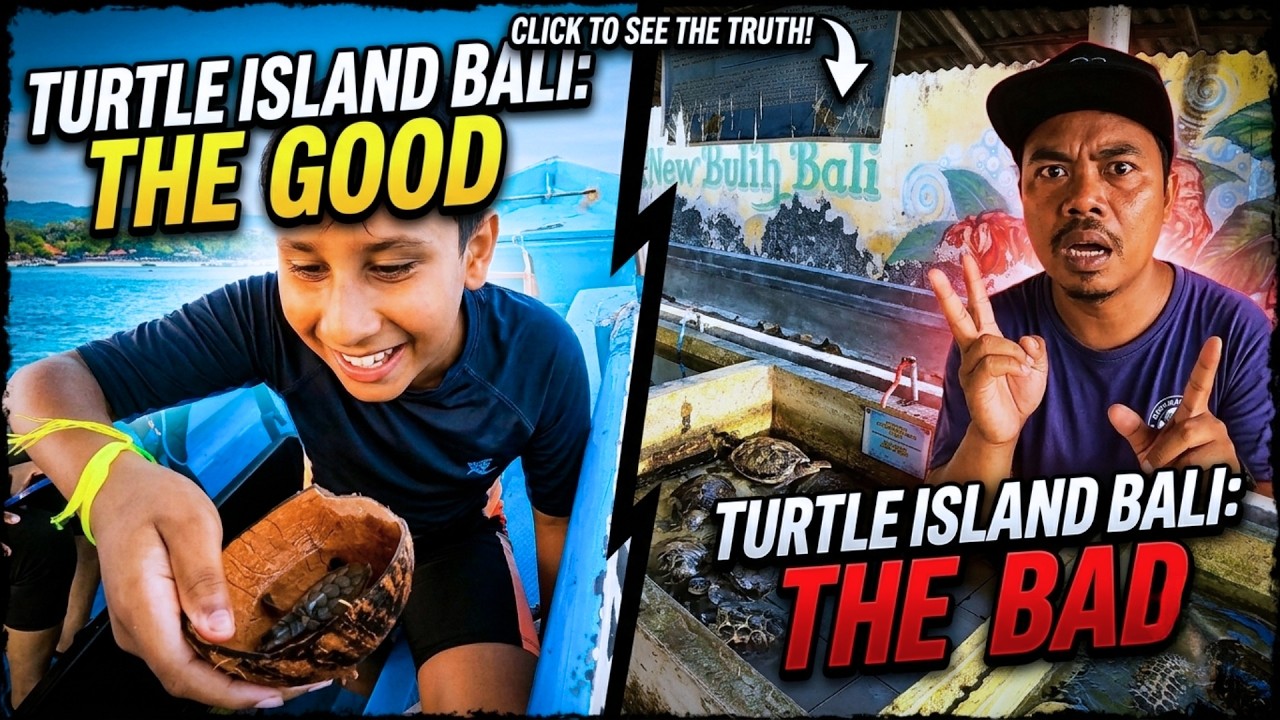 Nusa Dua Turtle Island | Deluang Sari Turtle Conservation Center | Bali Travel Vlog