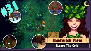 🥪Stardew Valley 1.5 Beach Farm | SandWitch Farm | Escape The Cold | #31