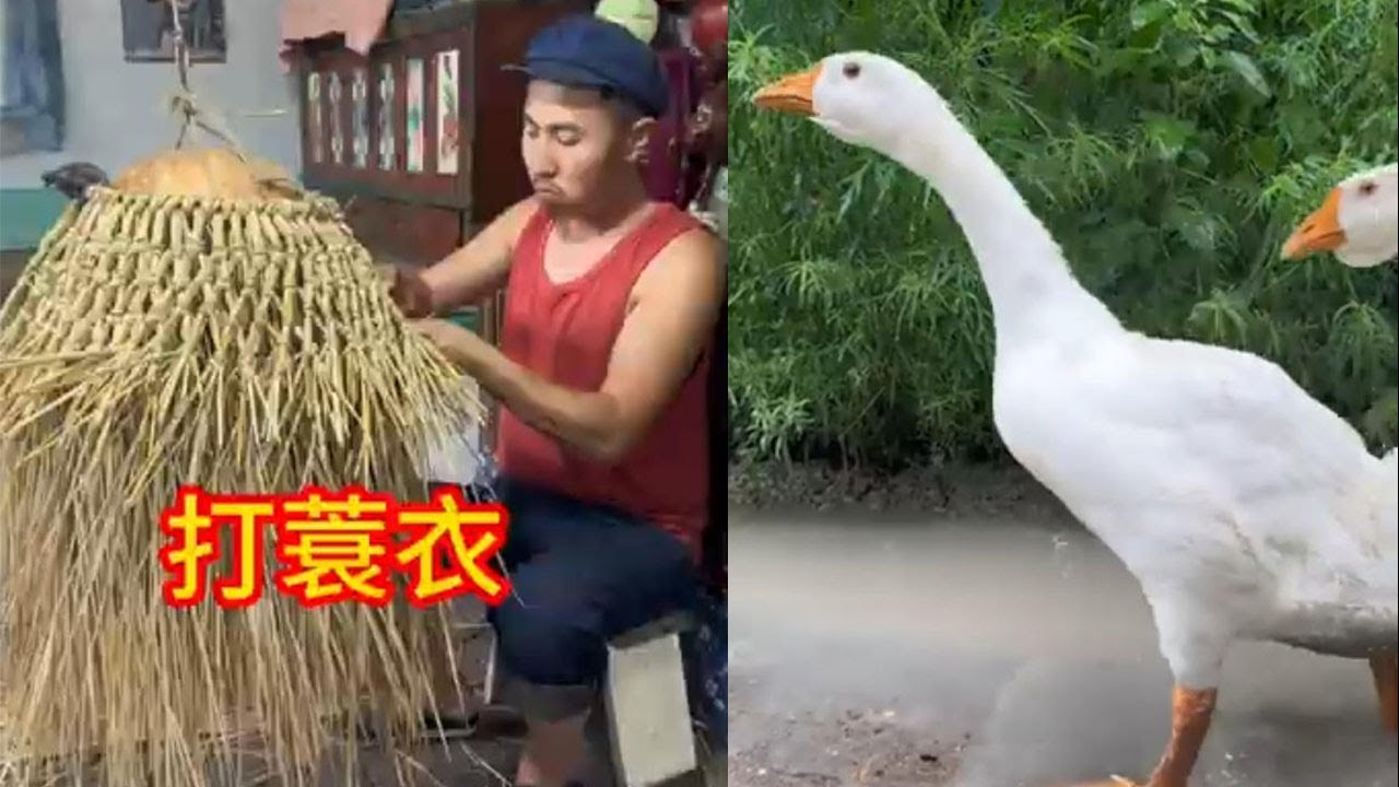 下雨了，不用雨伞也能出门#food #潘姥姥美食 #cooking #funny #客家美食 #美食分享日常 #大马美食