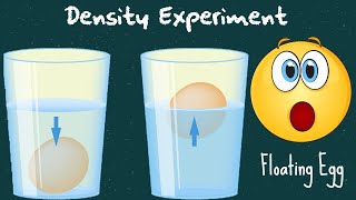 Density Experiment: Egg in water with salt and sugar. The egg will float or sink?