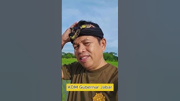Kang Dedi Mulyadi Jalan-jalan di Sawah Paling Indah Miliknya #kangdedimulyadi #shorts #fyp