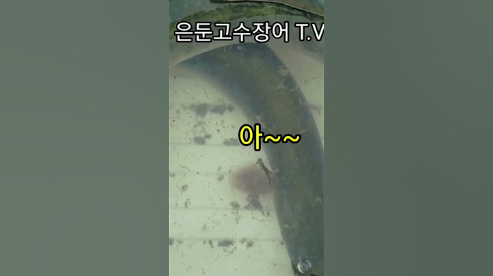 기다림끝에 만난 대물장어들~~~