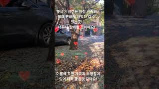 포천과 철원의 경계선에 위치한 담터계곡펜션으로 놀러 오세요!!