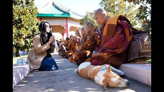 Aloka The Heart That Walks for Peace