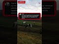 Жительница д. Дубровица Хойникского р-на показала, как на самом деле живут люди и животные на селе