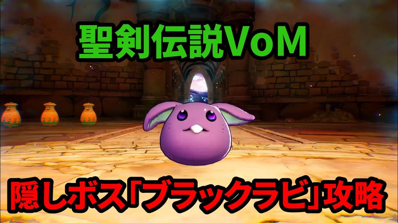 ブラックラビさん専用 maxresdefault.jpg