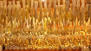 7 Most MYSTERIOUS Rituals from Around the World