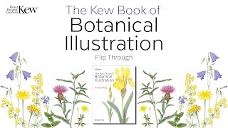 The Kew Book of Botanical Illustration Flip Through