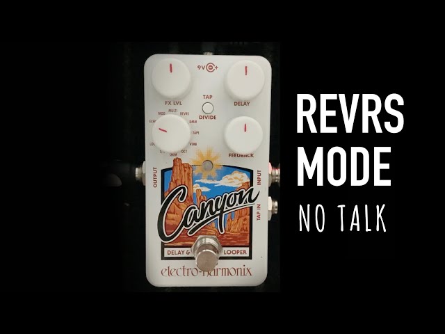 Electro-Harmonix Canyon ディレイ & ルーパー Electro-Harmonix Canyon Delay and Looper Pedal | Sweetwater