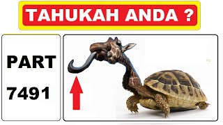 6 fakta unik dan menarik yang belum banyak diketahui.