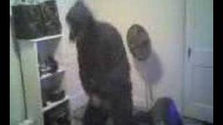 Krump Lesson Part 1
