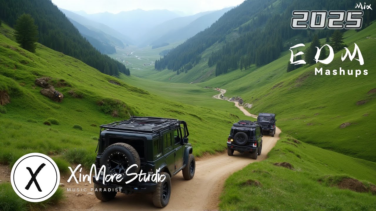 EDM Festival Hits 2025 | Top Dance Tracks & Remixes for Summer Parties – Nonstop Energy Mix