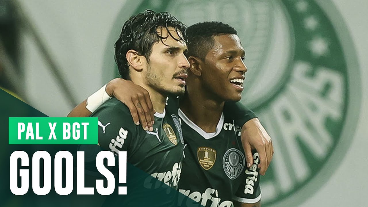 Palmeiras hendecacampeão: relembre todos os jogos e gols da campanha do  título brasileiro