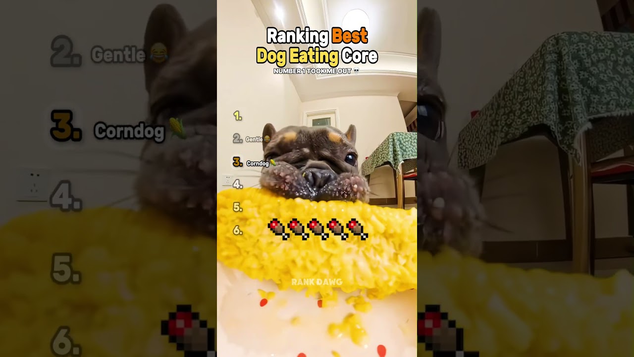Ranking Best Dog Eating Core 🍖