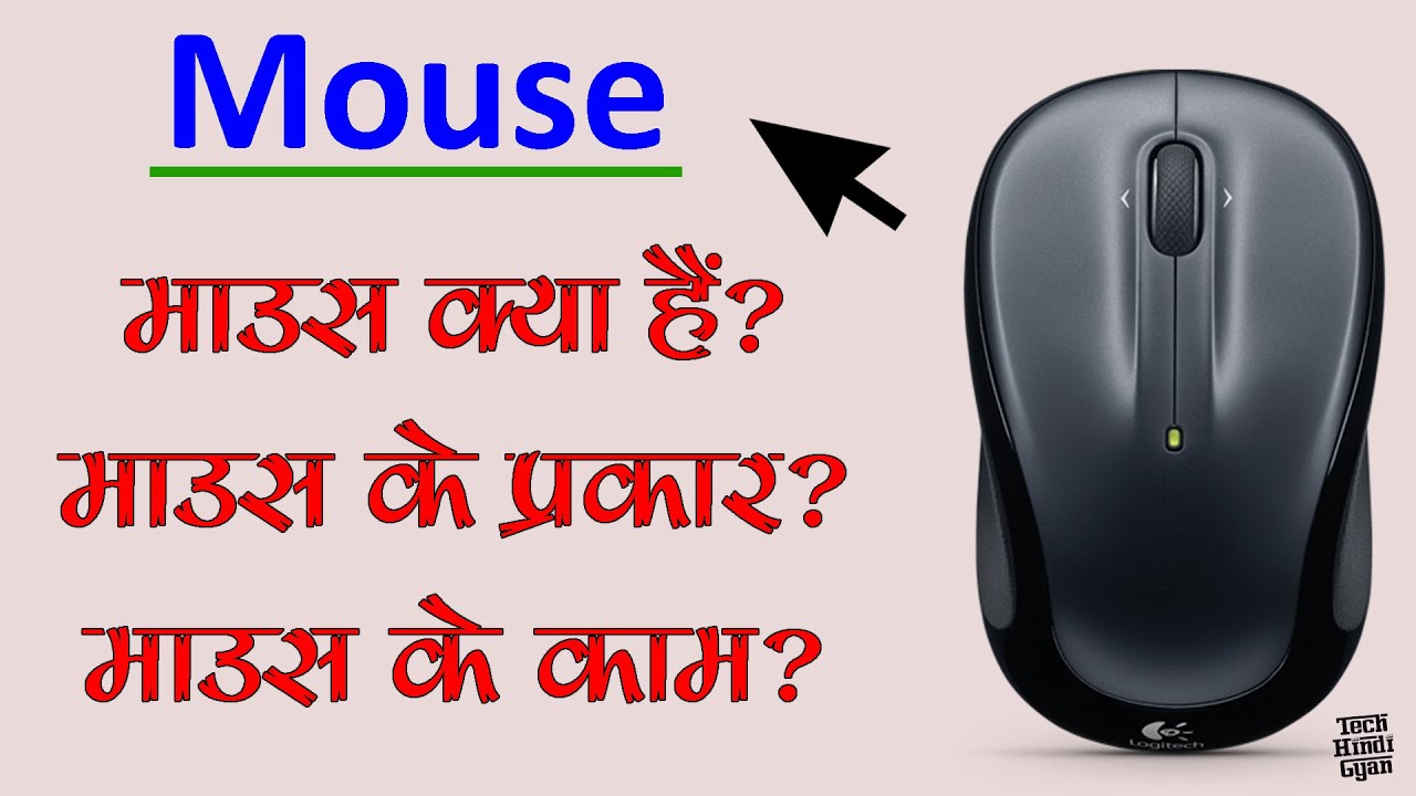 Computer Education Class | Computer Mouse Types And Functions in Hindi ...