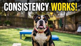 Training Bailey: See The Difference Consistency Makes