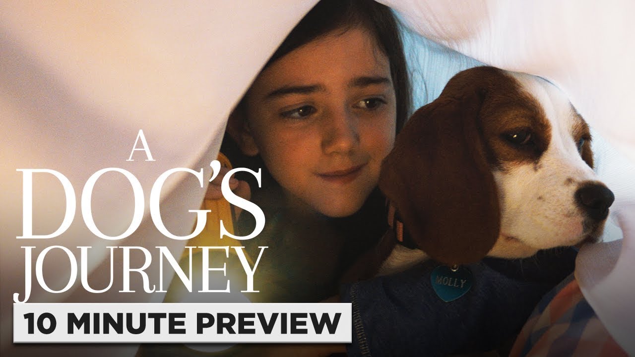 a dog's journey movie clips