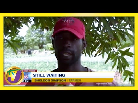 Jamaican Farmers Slam Gov't over Covid Relief | TVJ News