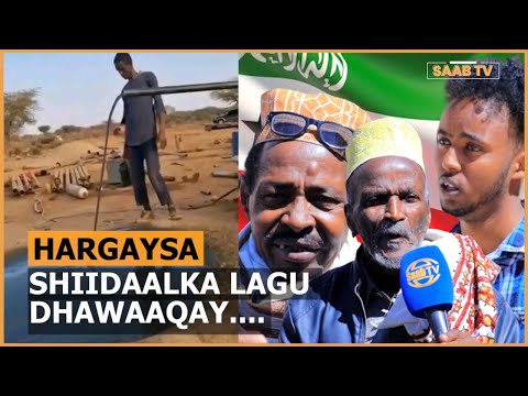 Dadwaynha Hargaysa Oo ka hadlay Shiidaalka la sheegay in Somaliland laga helay.