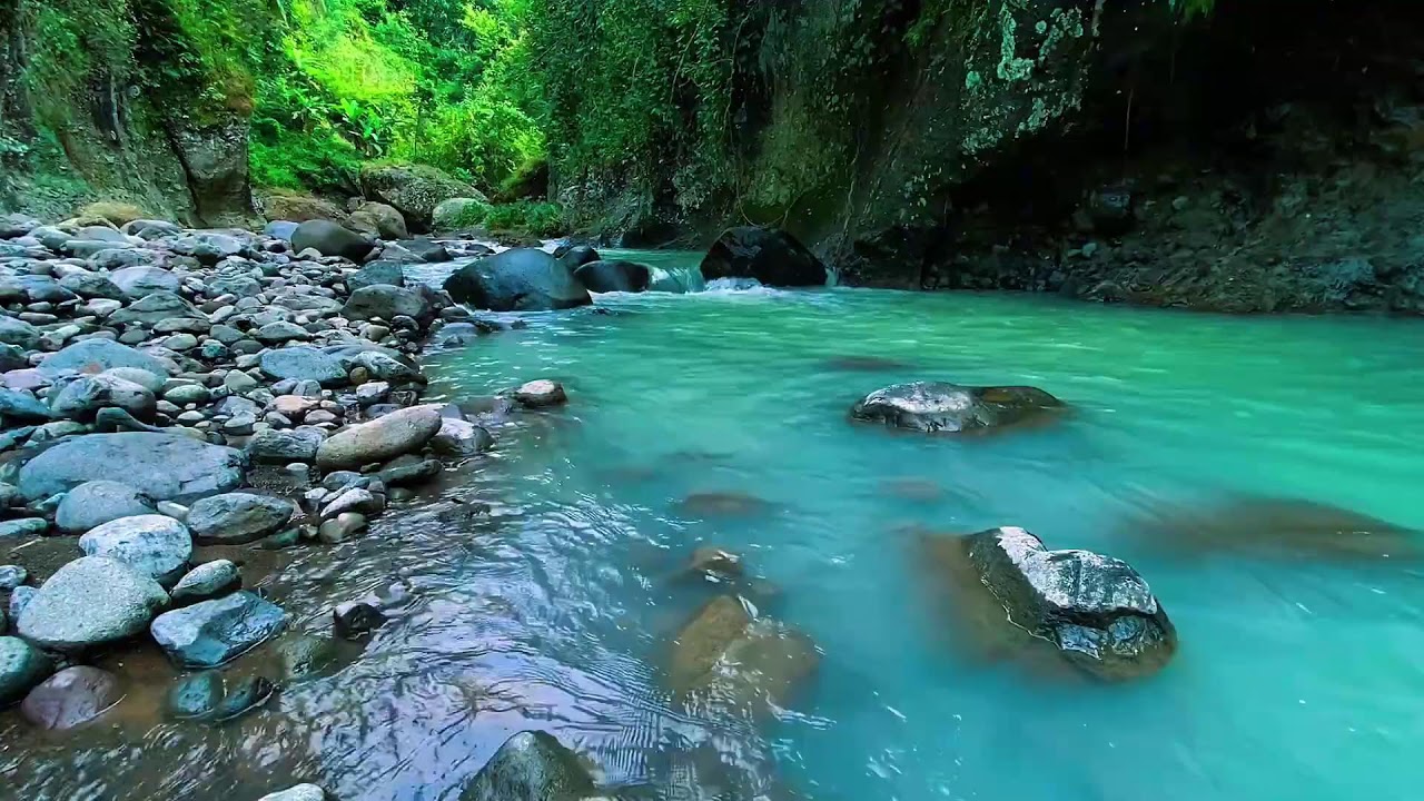 Forest River Flowing Water, Mountain Stream Audio, Sleeping