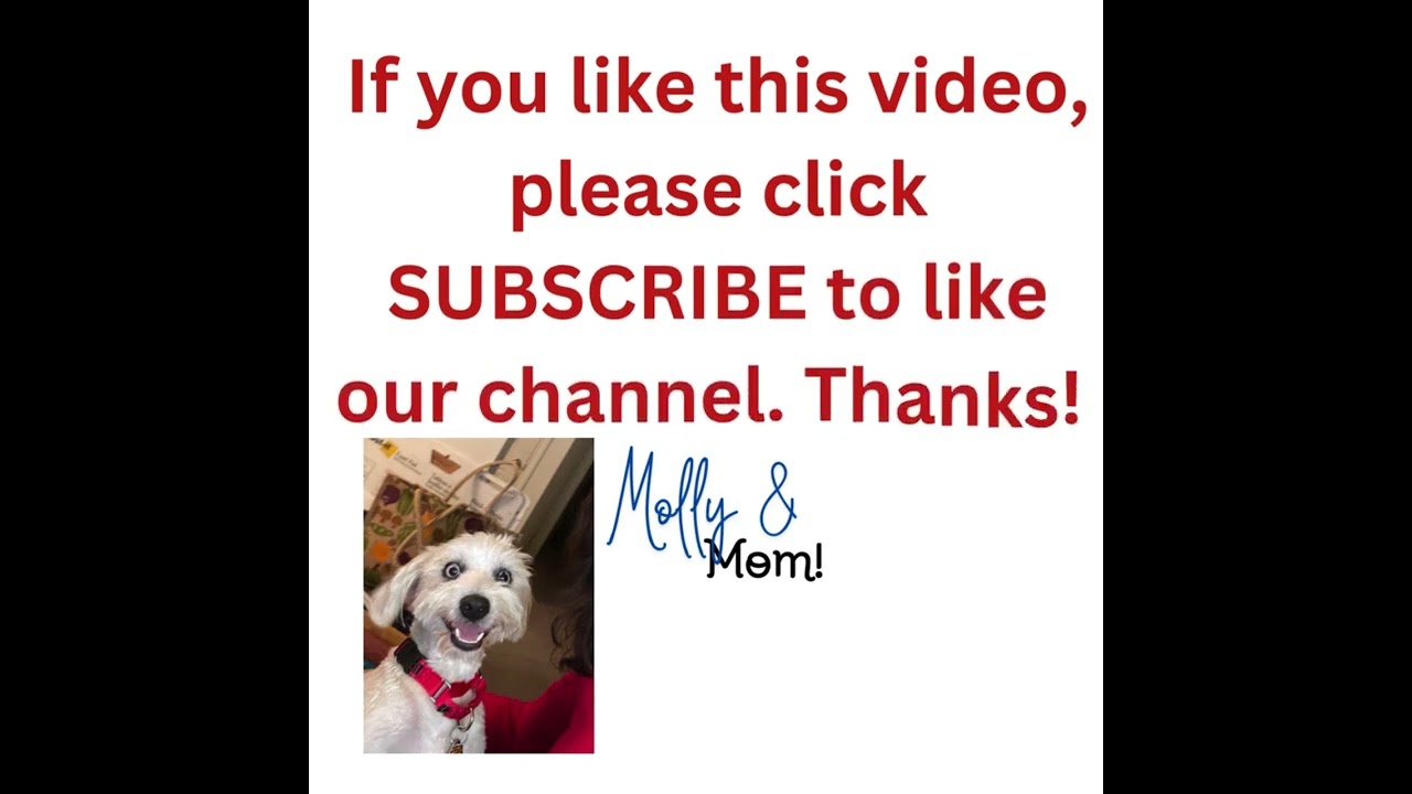 Dog(gie) Days of Summer 