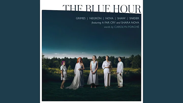 Caroline Shaw: The Blue Hour: No. 35, Vesture, vigil