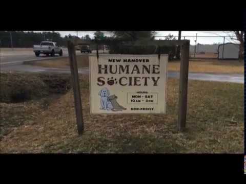 new hanover humane society