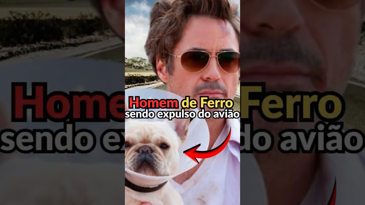 QUANDO O HOMEM DE FERRO FOI EXPULSO DO AVIÃO 😂✈️ (Um Parto de Viagem)