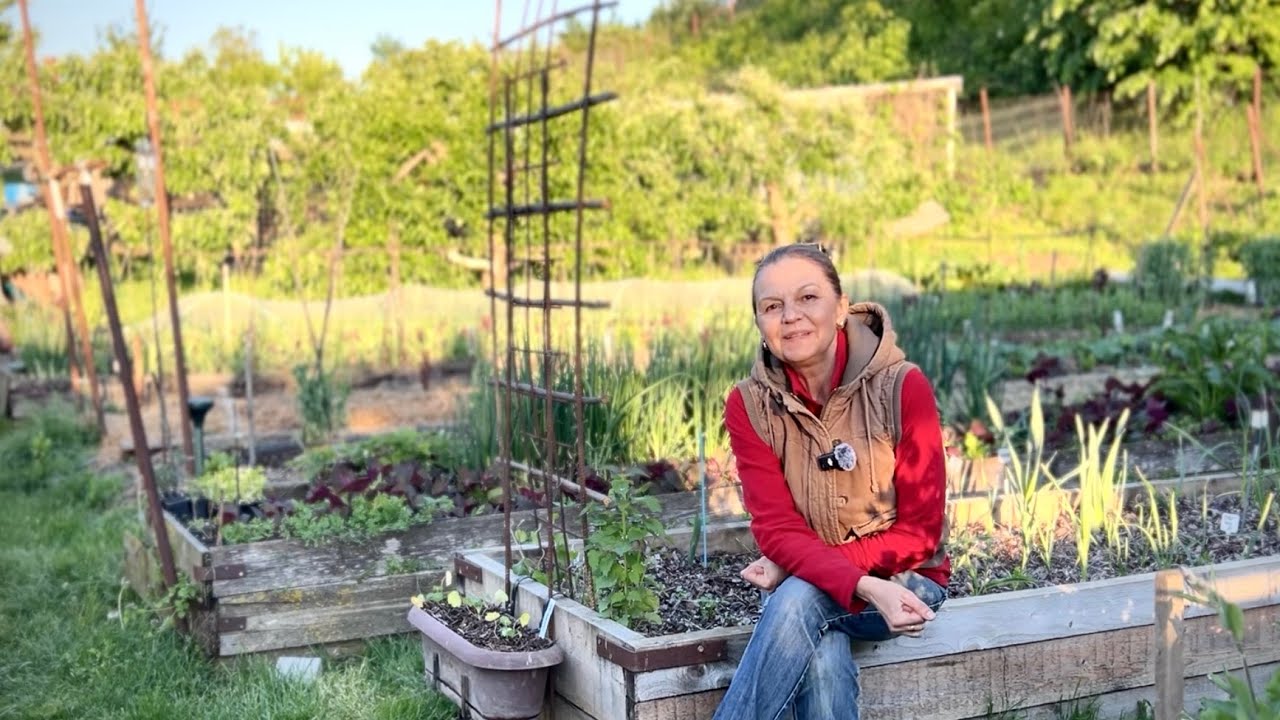 Turul Grădinii 18 Mai 2025. Ce plante cresc acum în grǎdina mea