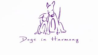 Dogs in Harmony: Virtual Dog Training Lessons