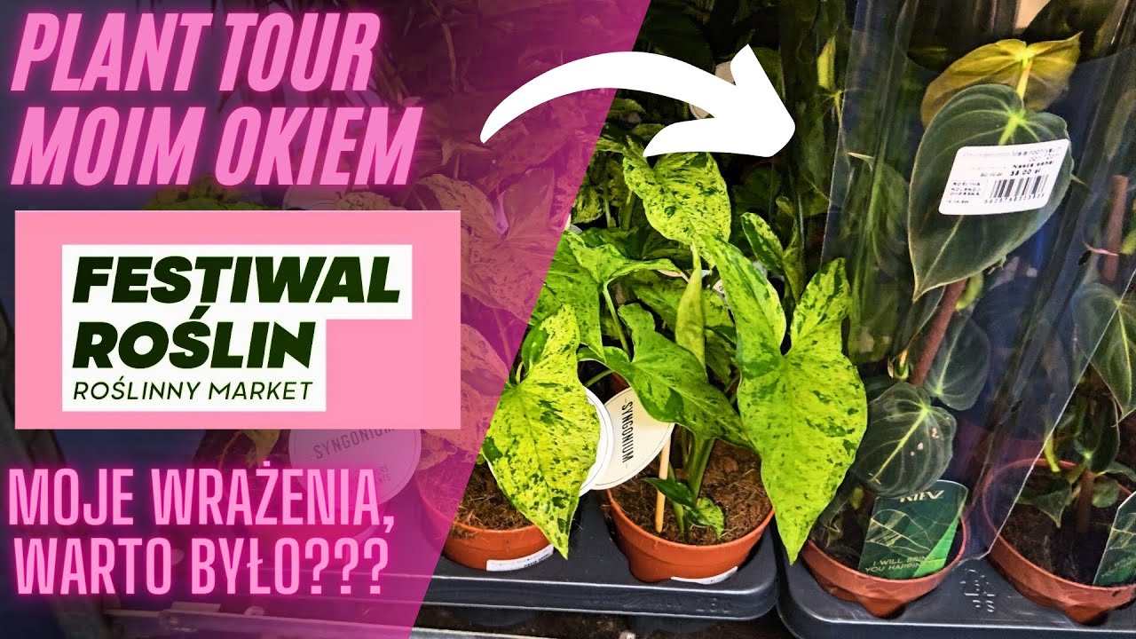 PLANT TOUR / FESTIWAL ROŚLIN 2024