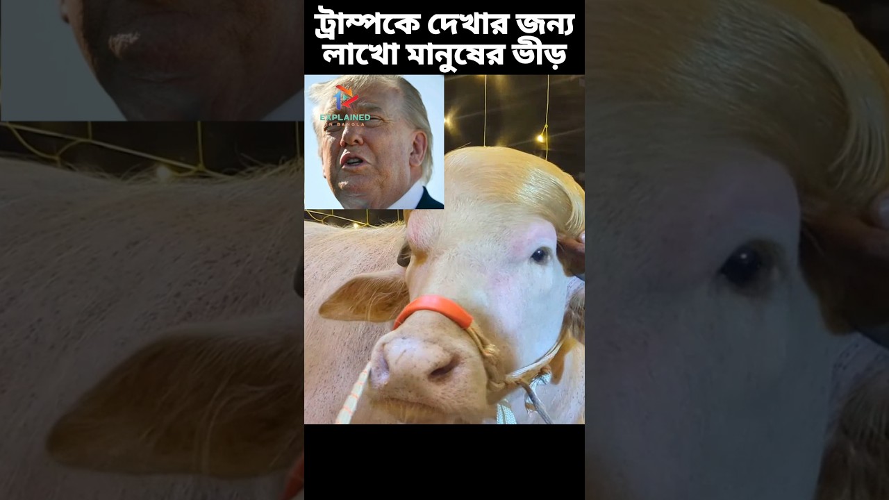 ট্রাম্প এখন চিড়িয়াখানায় #viral #Trump #buffalo