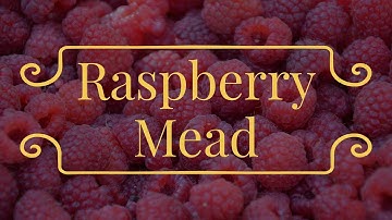 Racking and tasting my raspberry mead