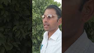 00 52 34 N P K का प्रयोग #farming #agriculture #fruit #organic #viral video #