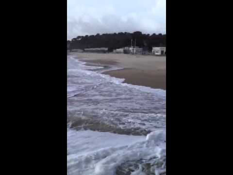 camera iphone 8 plus apk Windy Branksome Beach