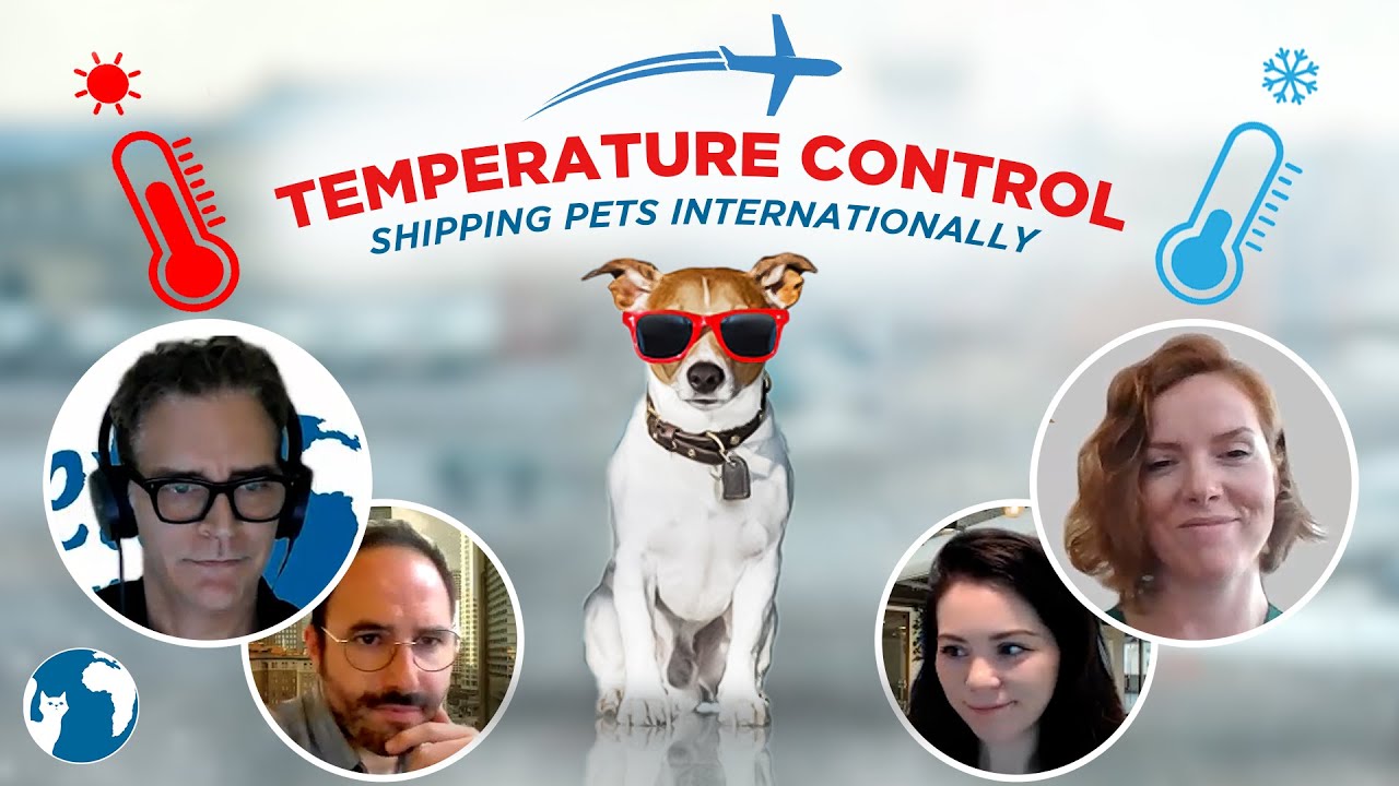 Temperature control while shipping pets internationally YouTube