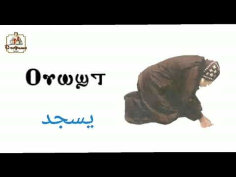 كلمة يسجد باللغة القبطية